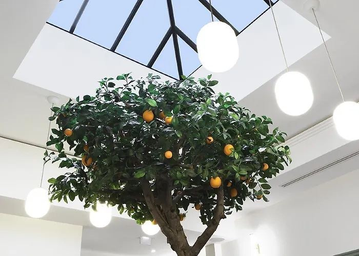 Timhotel Palais Royal Hotel 3*